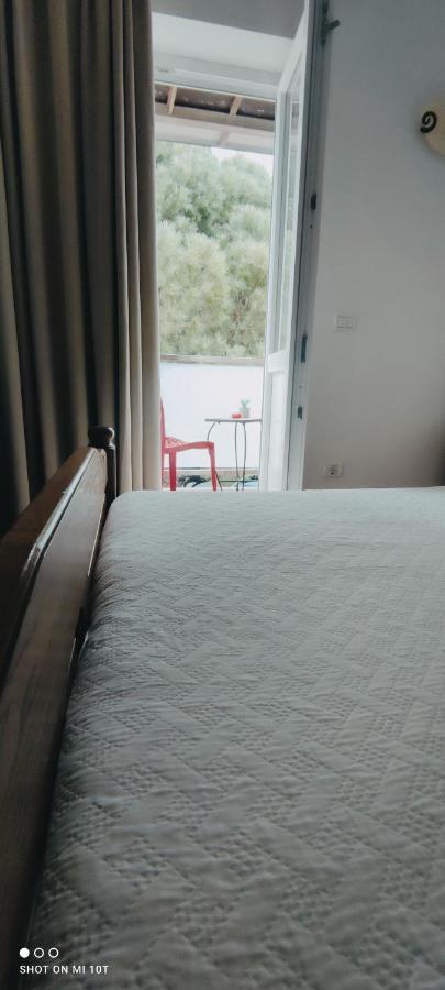 Laco De Pelagius Rooms Novigrad Istria Exteriör bild